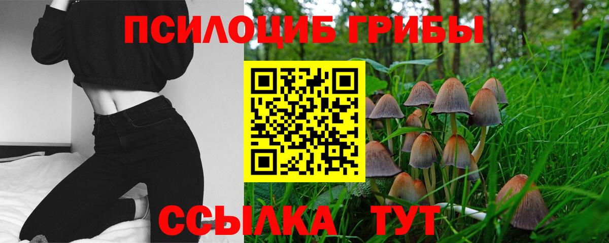 Псилоцибиновые грибы прущие грибы Нижний Тагил