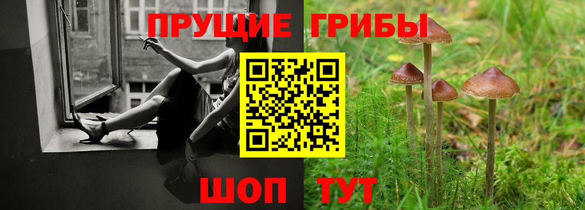 Псилоцибиновые грибы Psilocybine cubensis  наркота  Нижний Тагил  Вход с VPN  Псилоцибиновые грибы мицелий 